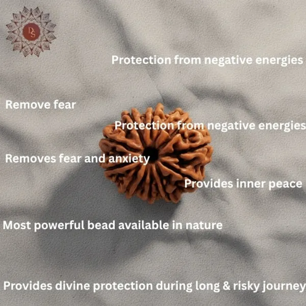 10_Mukhi_Rudraksha_Bead_(Nepali)