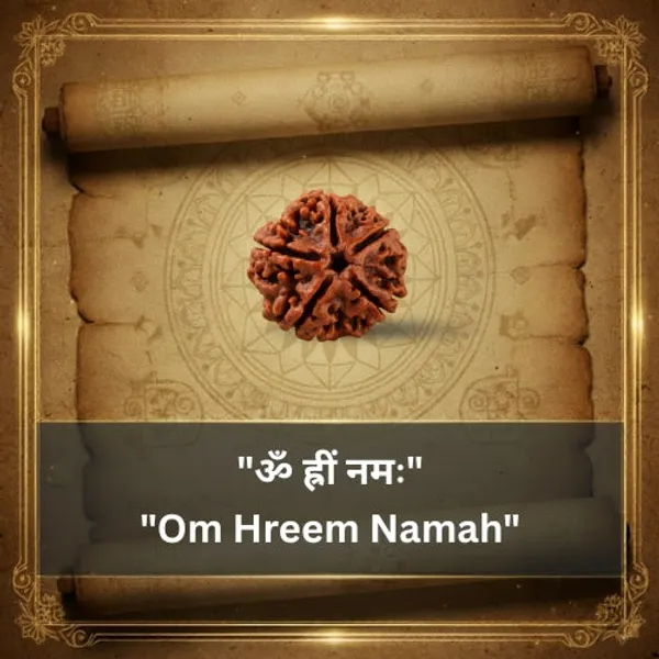 5_Mukhi_Rudraksha_Bead_(Indonesian)