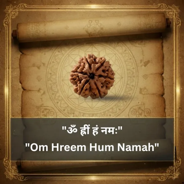 6_Mukhi_Rudraksha_Bead_(Indonesian)