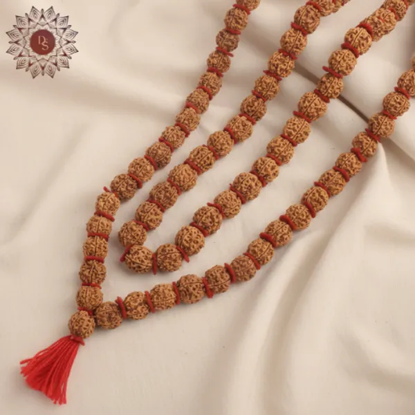 5_Mukhi_Kanthi_Rudraksha_Mala_(54+1_Beads)