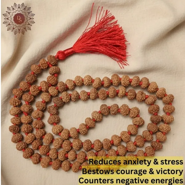 9_Mukhi_Rudraksha_Mala_(108+1_Beads)