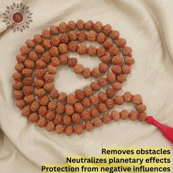 10_Mukhi_Rudraksha_Mala_(108+1_Beads)