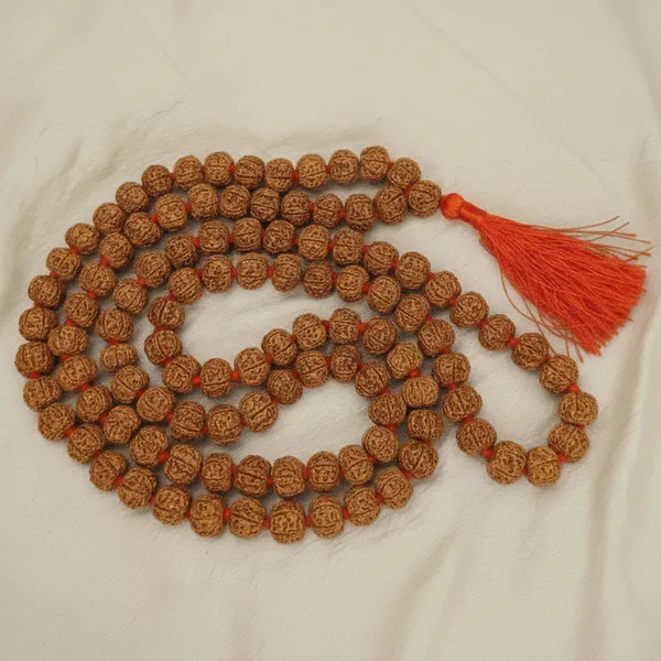 6_Mukhi_Rudraksha_Mala_(108+1_bead)