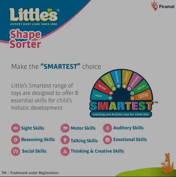 Littles_Shape_Sorter_Developmental_Toy