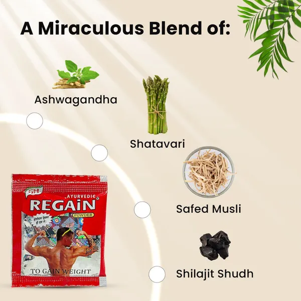 Ayurvedic_Regain_Weight_Gain_Powder_30_Pouch