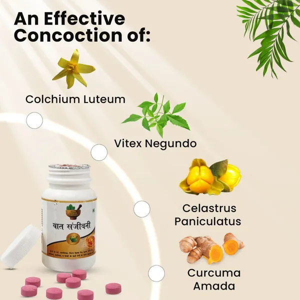 Vat_Sanjivani_Herbal_Tablets_1_Bottle