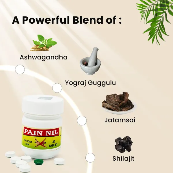 Pain_Nil_Ayurvedic_Tablets_3_Bottle_-_Pack_of_2