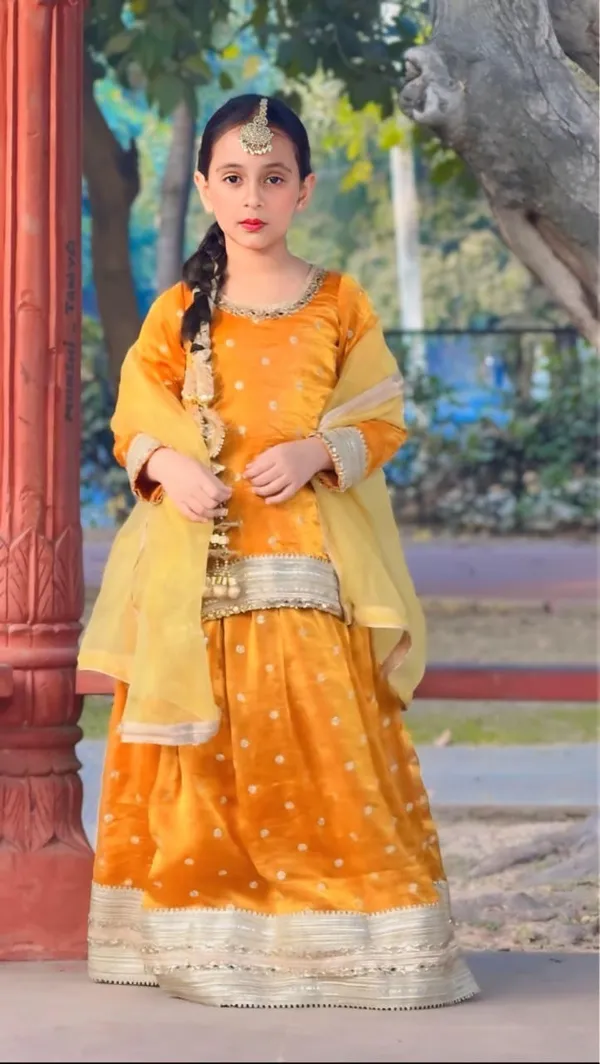 Luxury_Lehenga_Collection_Wine