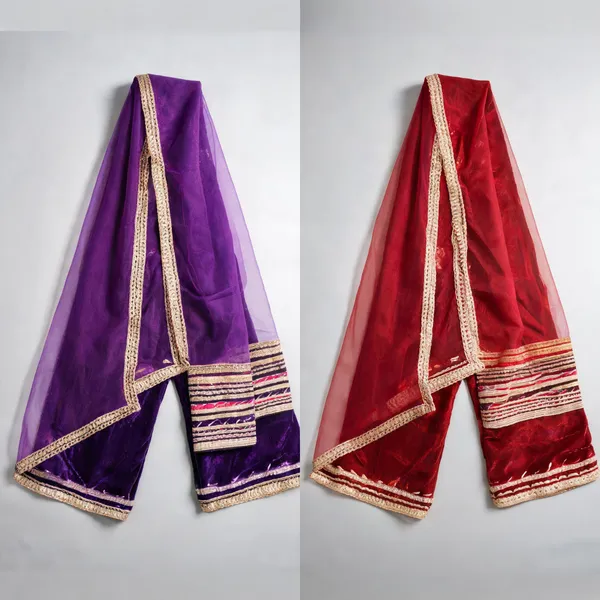Heavy_Gota_Velvet_Suits_Rani