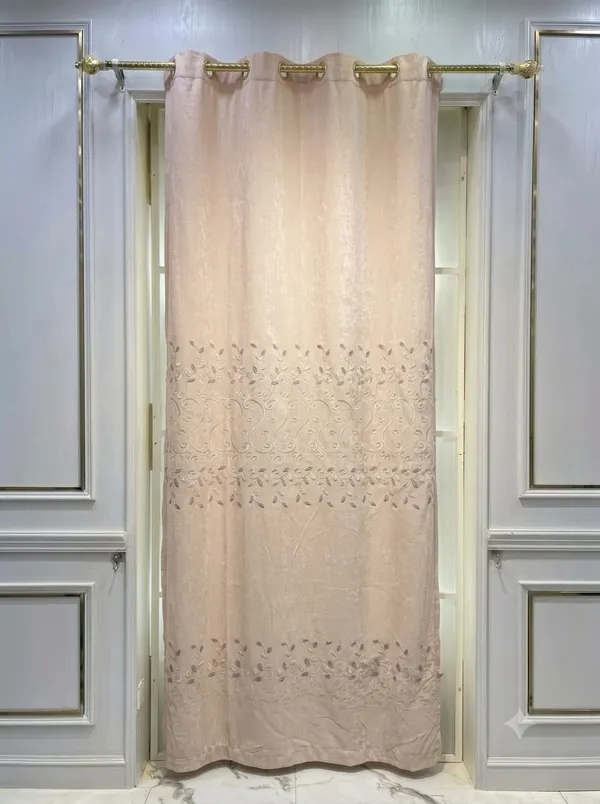 Beige_Sheer_Embroidered_Saree_for_Women