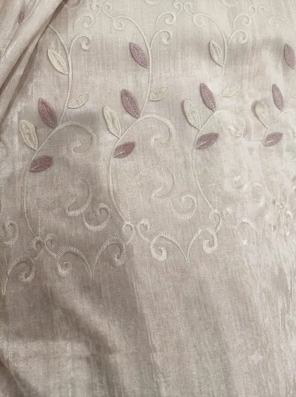 Beige_Sheer_Embroidered_Saree_for_Women