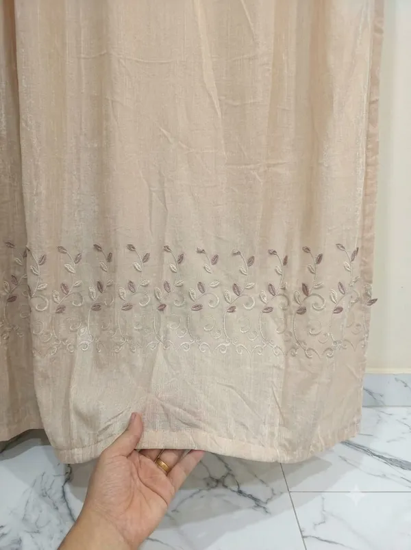 Beige_Sheer_Embroidered_Saree_for_Women