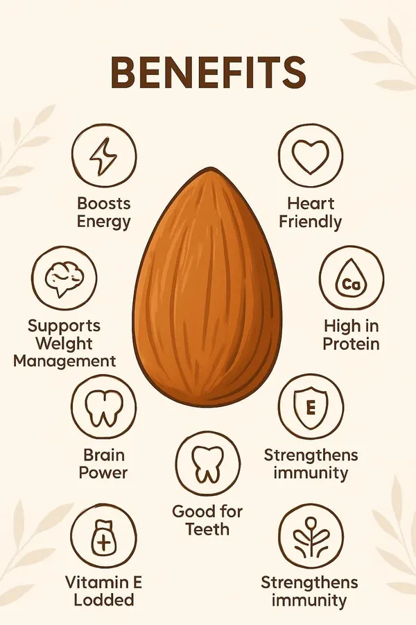The_Almond_Store_Chocolate_Almonds_Premium_Whole_Almonds_Coated_With_Rich_Chocolate_Healthy_Snack_Trans_Fat_Free_High_Fibre_120g