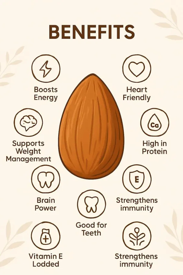 The_Almond_Store_Roasted_and_Salted_Almond_120_Gm_|_Premium_Dry_Fruits_|_Protein_Rich_Healthy_Snack