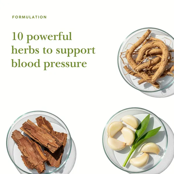 Nature_Zenith_BP_Care_Juice_Ayurvedic_Herbal_Juice_for_Blood_Pressure_Support_&_Heart_Health