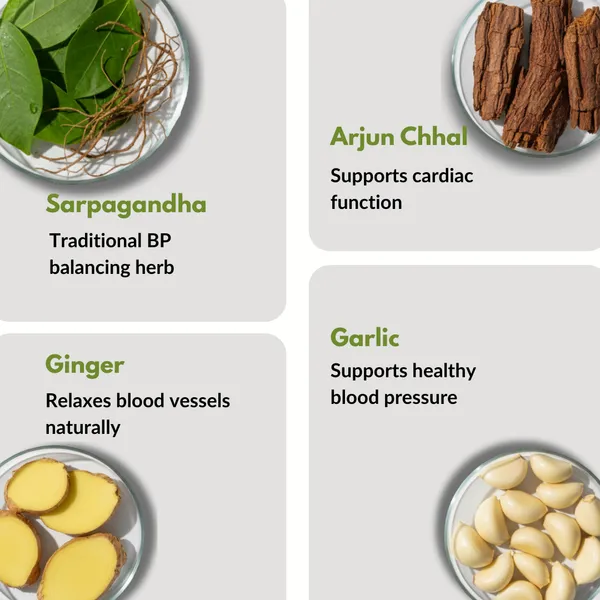 Nature_Zenith_BP_Care_Juice_Ayurvedic_Herbal_Juice_for_Blood_Pressure_Support_&_Heart_Health