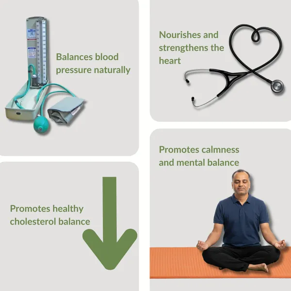 Nature_Zenith_BP_Care_Juice_Ayurvedic_Herbal_Juice_for_Blood_Pressure_Support_&_Heart_Health