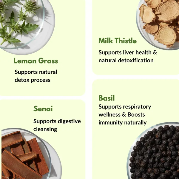 Nature_Zenith_Natural_Liver_Detox_Digestive_Support_Formula