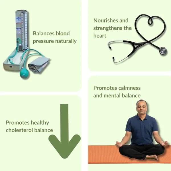 Nature_Zenith_Cholesterol_Care_Herbal_Juice_Arjuna_Brahmi_Cardiovascular_Support