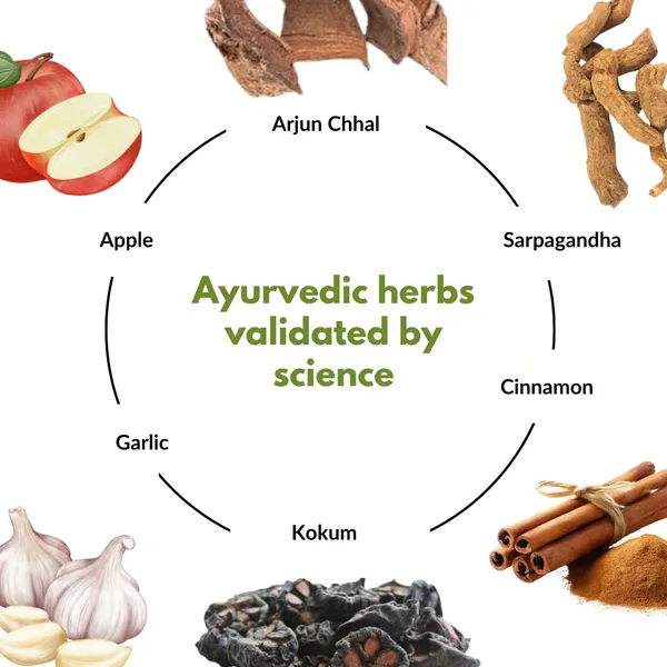 Nature_Zenith_Cholesterol_Care_Herbal_Juice_Arjuna_Brahmi_Cardiovascular_Support