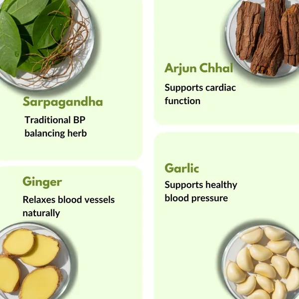 Nature_Zenith_Cholesterol_Care_Herbal_Juice_Arjuna_Brahmi_Cardiovascular_Support