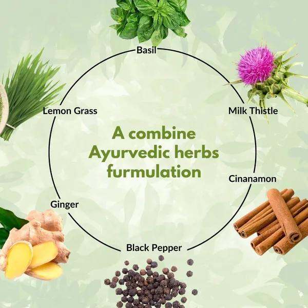 Nature_Zenith_Liver_Care_Herbal_Juice_8_Ayurvedic_Herbs