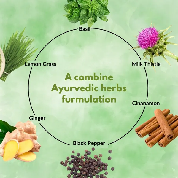 Liver_Detox_Juice_Manage_Fatty_Liver_with_the_Power_of_8_Ayurvedic_Herbs