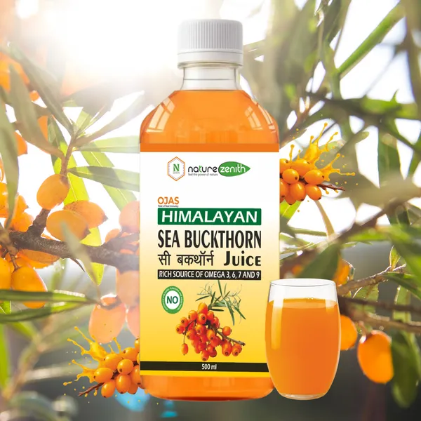 Himalayan_Sea_Buckthorn_Juice_Pack_of_2_(2_×_500_ML)