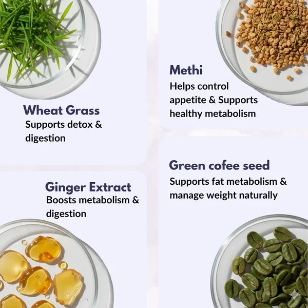 Fat_Control_Juice_Healthy_Weight_Management_Through_12_Ayurvedic_Herbs