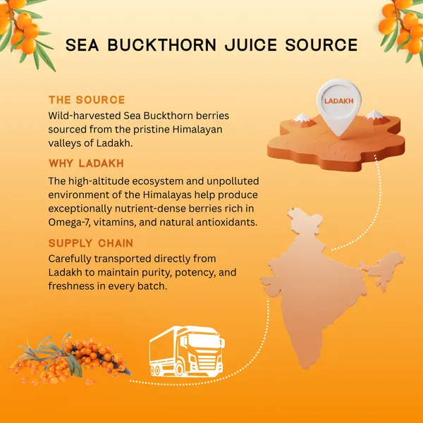 Nature_Zenith_Himalayan_Sea_Buckthorn_Juice_500_Ml