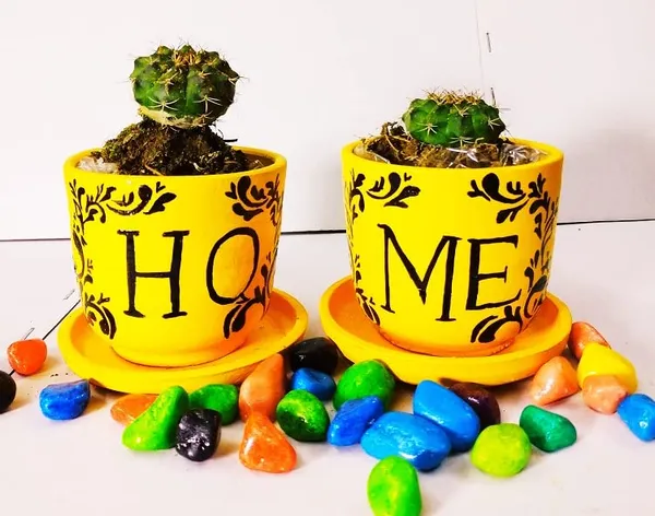 Terracotta_Indoor_Planter