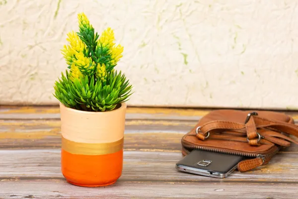 Terracotta_Succulent_Planter