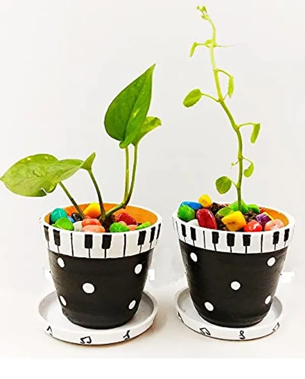 Terracotta_Indoor_Planter