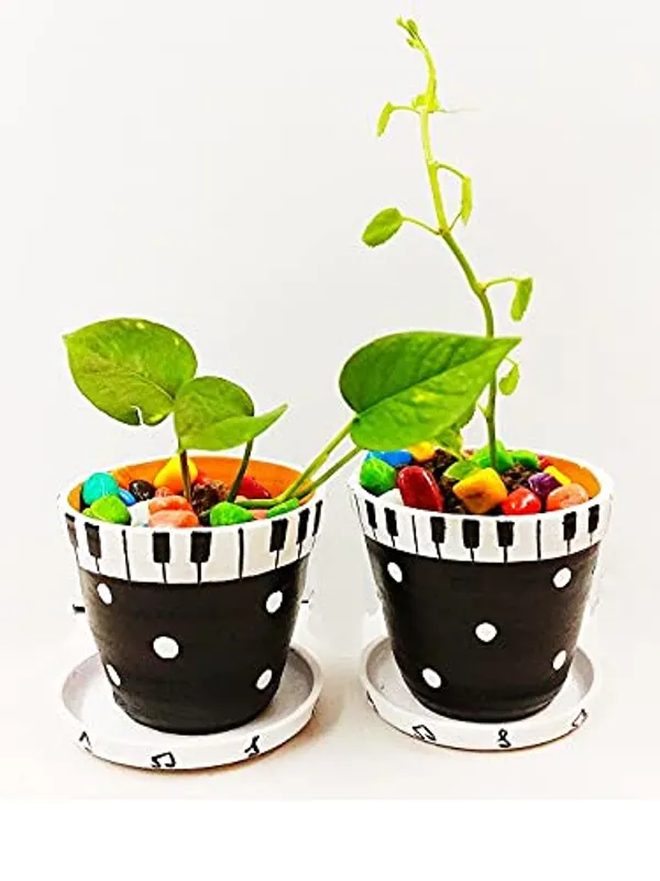 Terracotta_Indoor_Planter