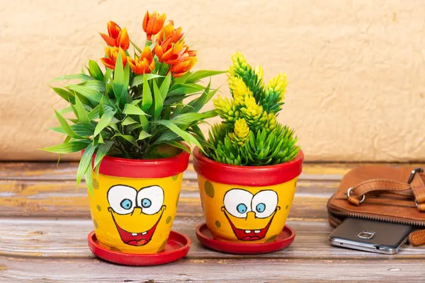 Terracotta_Succulent_Planter