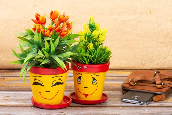 Terracotta_Succulent_Planter