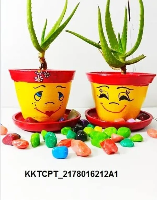 Terracotta_Succulent_Planter