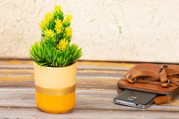 Terracotta_Succulent_Planter