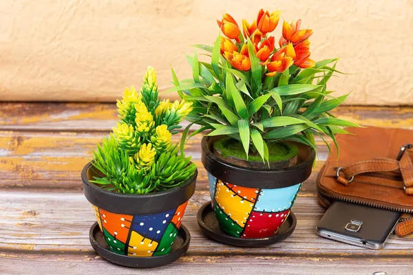 Terracotta_Planter_With_Tray