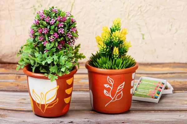 Terracotta_Planter_With_Bottom_Tray