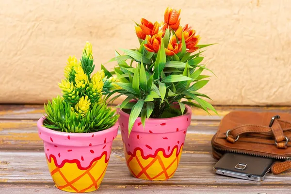 Terracotta_Planter_With_Tray