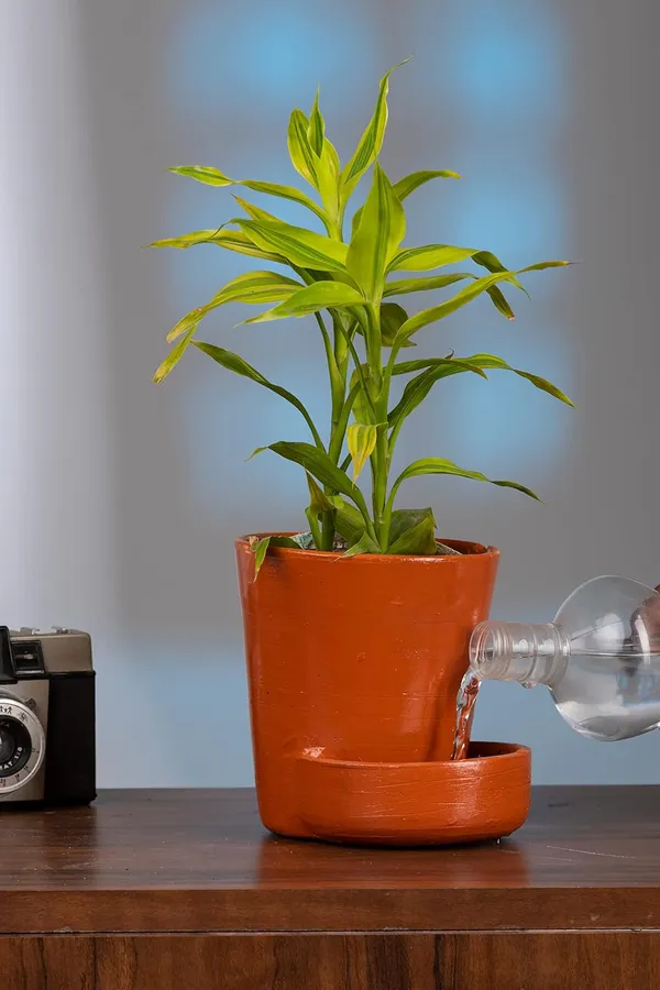 Terracotta_Self_Watering_Planter_With_Jute_Horse