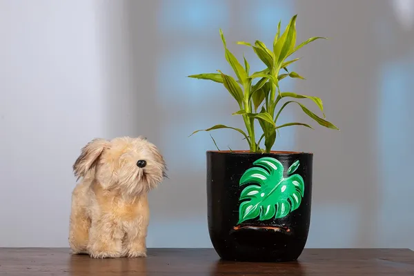 Terracotta_Self_Watering_Planter