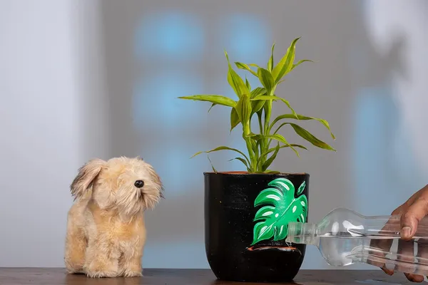 Terracotta_Self_Watering_Planter