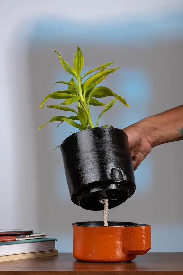 Terracotta_Self_Watering_Planter