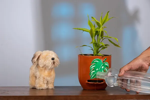 Terracotta_Self_Watering_Planter