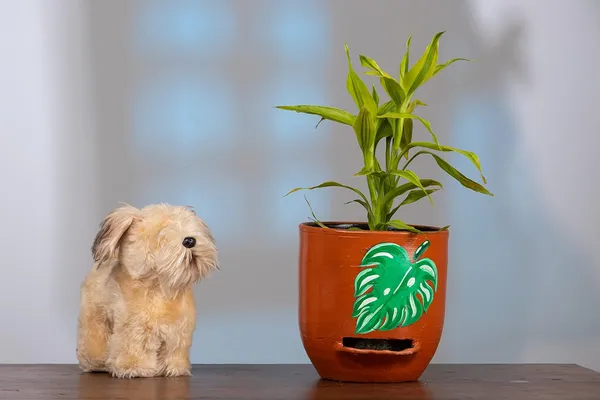Terracotta_Self_Watering_Planter