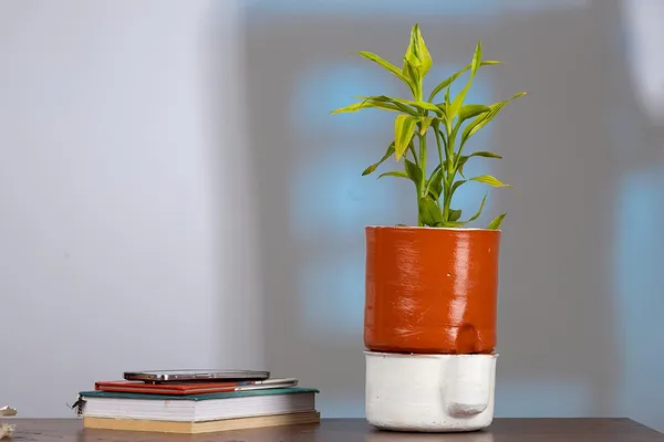 Terracotta_Self_Watering_Planter
