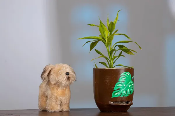 Terracotta_Self_Watering_Planter