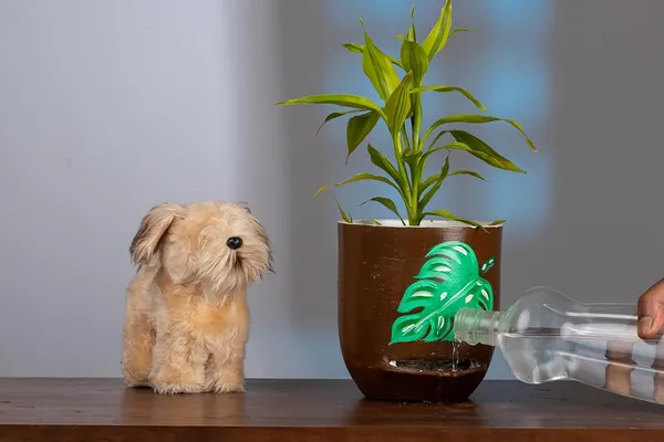 Terracotta_Self_Watering_Planter